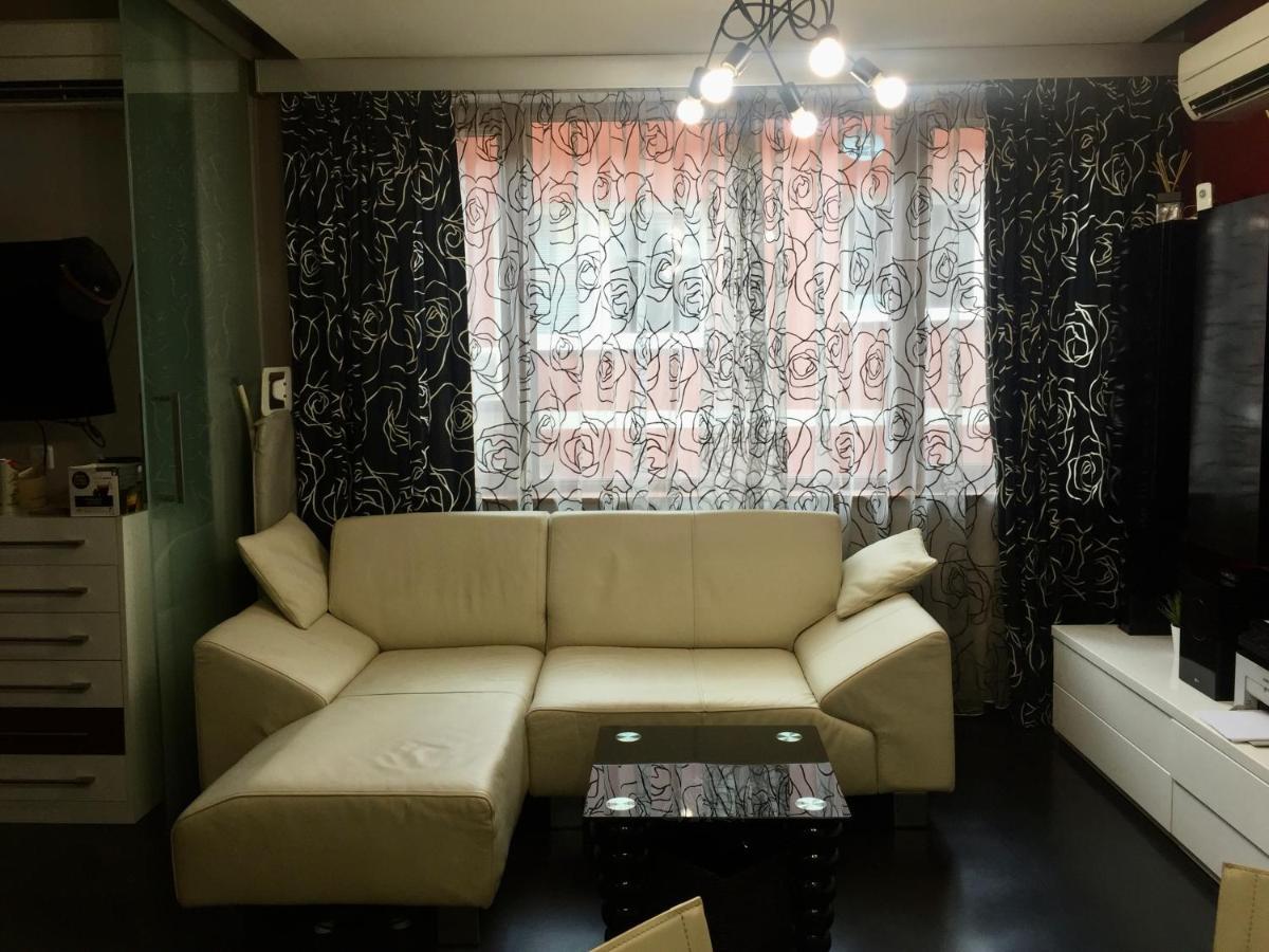Lovely Sofia Apartment Katerina With Free Parking Kültér fotó