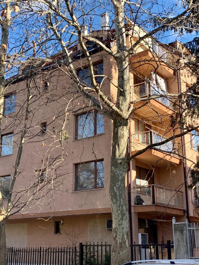 Lovely Sofia Apartment Katerina With Free Parking Kültér fotó
